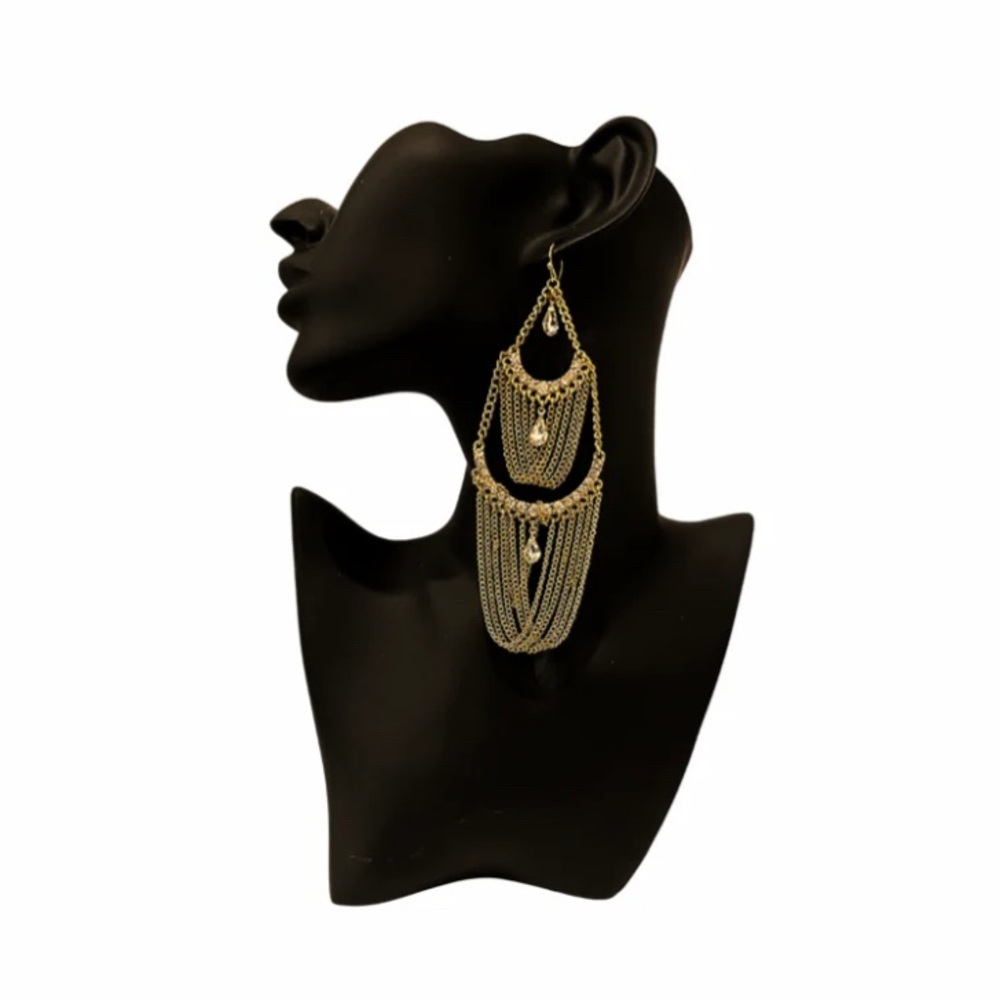 Brand New Earrings